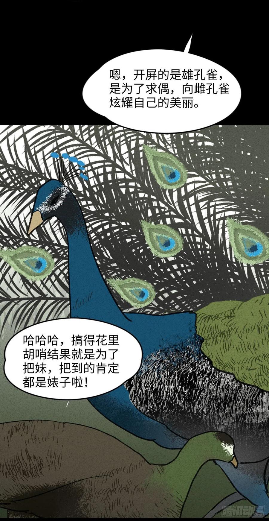 《怪奇笔记》漫画最新章节动物园免费下拉式在线观看章节第【14】张图片