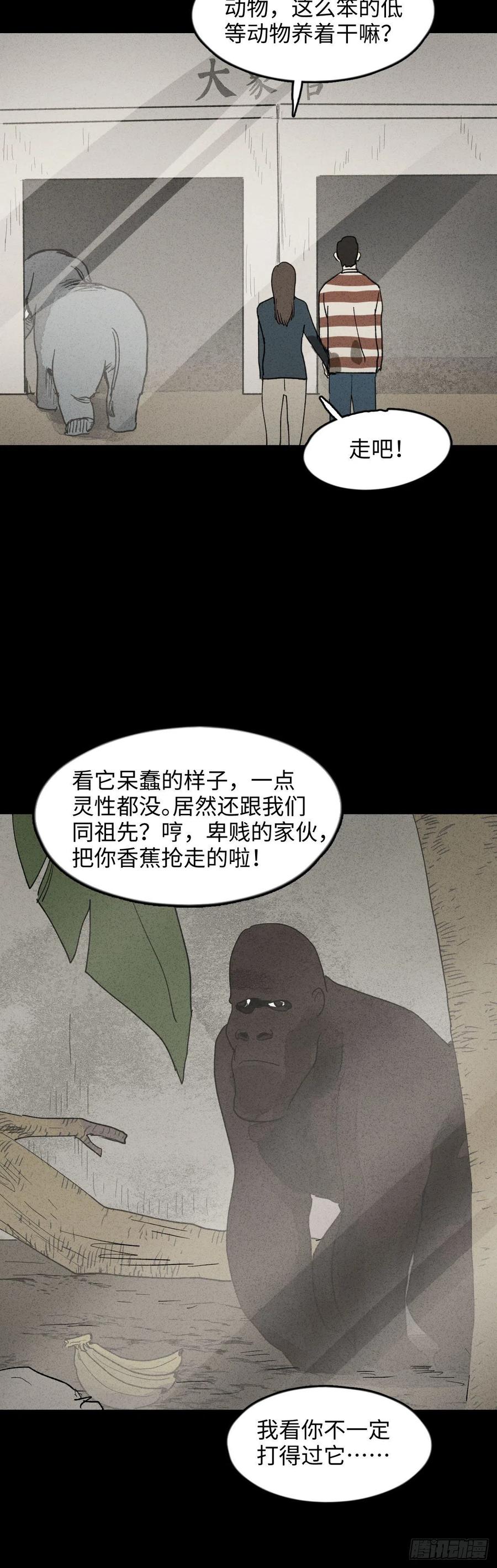 《怪奇笔记》漫画最新章节动物园免费下拉式在线观看章节第【9】张图片