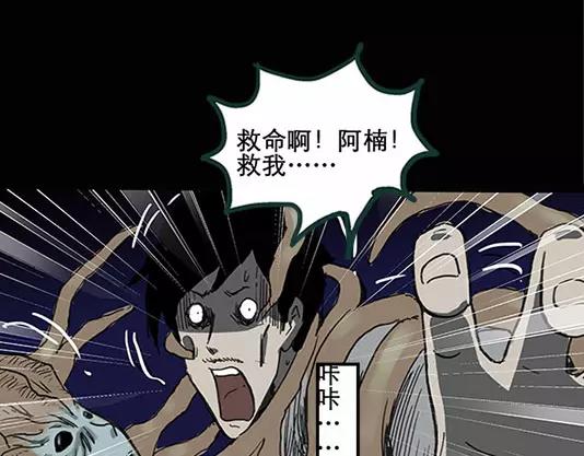 《怪奇实录》漫画最新章节第12话 配偶树（下）免费下拉式在线观看章节第【35】张图片