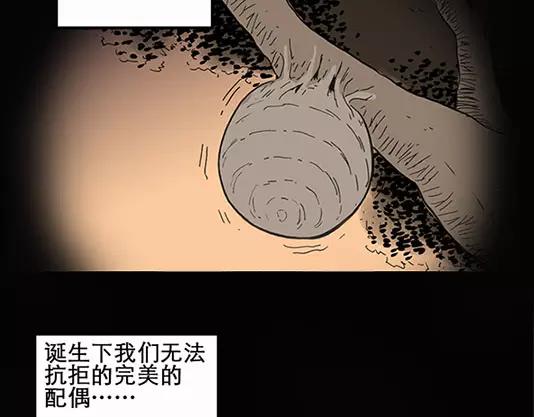 《怪奇实录》漫画最新章节第12话 配偶树（下）免费下拉式在线观看章节第【44】张图片