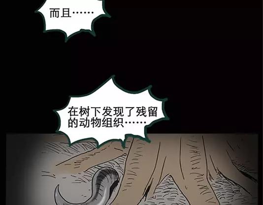 《怪奇实录》漫画最新章节第12话 配偶树（下）免费下拉式在线观看章节第【48】张图片