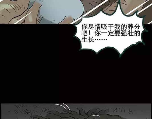 《怪奇实录》漫画最新章节第12话 配偶树（下）免费下拉式在线观看章节第【56】张图片