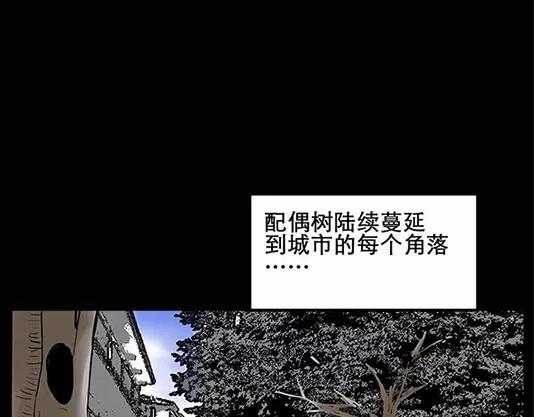 《怪奇实录》漫画最新章节第12话 配偶树（下）免费下拉式在线观看章节第【67】张图片