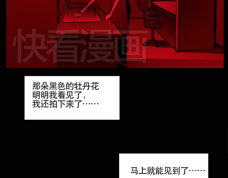 《怪奇实录》漫画最新章节第13话 黑色牡丹花· 照片1免费下拉式在线观看章节第【33】张图片