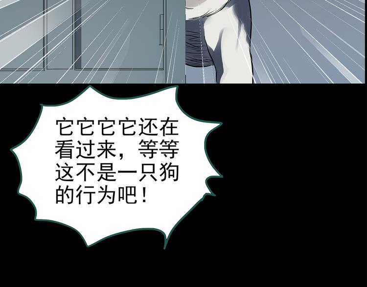 《怪奇实录》漫画最新章节第143话 怪之狗 二免费下拉式在线观看章节第【65】张图片