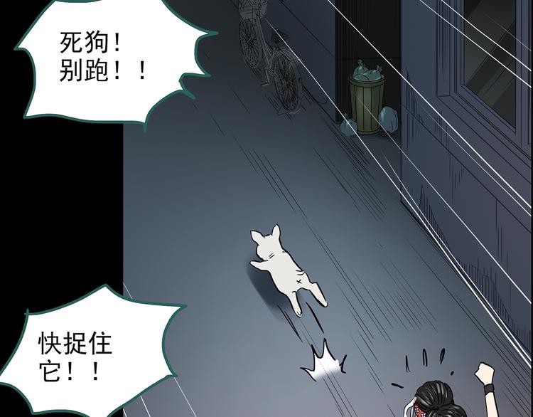 《怪奇实录》漫画最新章节第143话 怪之狗 二免费下拉式在线观看章节第【84】张图片