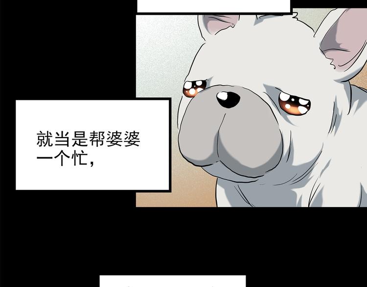 《怪奇实录》漫画最新章节第144话 怪之狗 三免费下拉式在线观看章节第【27】张图片