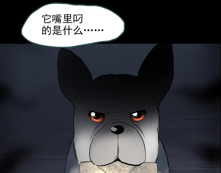 《怪奇实录》漫画最新章节第144话 怪之狗 三免费下拉式在线观看章节第【6】张图片