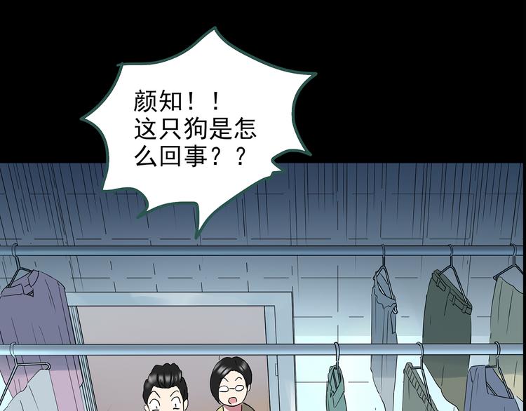 《怪奇实录》漫画最新章节第144话 怪之狗 三免费下拉式在线观看章节第【66】张图片