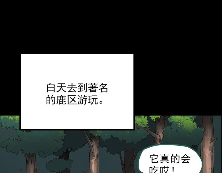 《怪奇实录》漫画最新章节第204话 梦之舞人（上）免费下拉式在线观看章节第【68】张图片