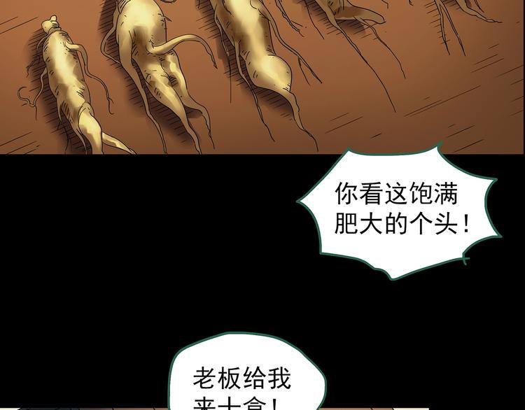 《怪奇实录》漫画最新章节第210话 人参村（上）免费下拉式在线观看章节第【28】张图片