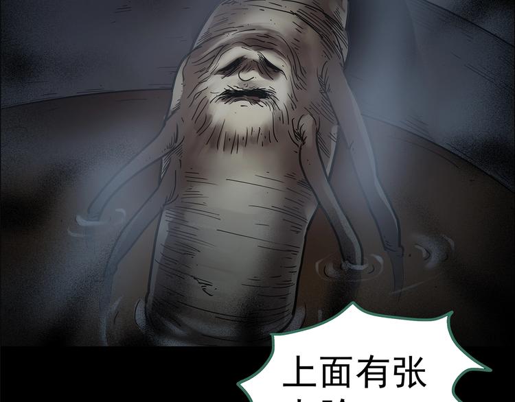 《怪奇实录》漫画最新章节第210话 人参村（上）免费下拉式在线观看章节第【48】张图片