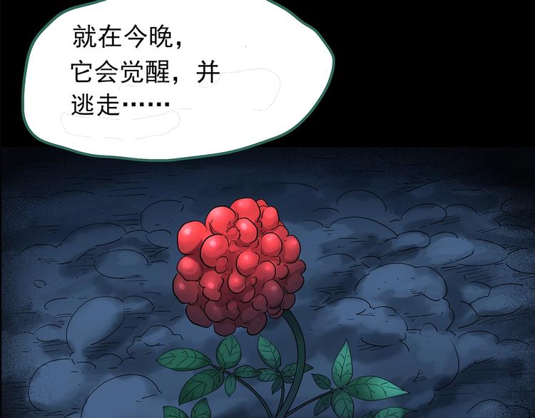 《怪奇实录》漫画最新章节第210话 人参村（中）免费下拉式在线观看章节第【113】张图片