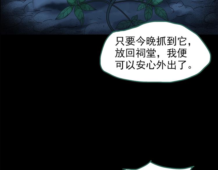 《怪奇实录》漫画最新章节第210话 人参村（中）免费下拉式在线观看章节第【114】张图片