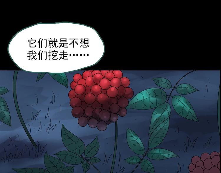 《怪奇实录》漫画最新章节第211话 人参村（中二）免费下拉式在线观看章节第【39】张图片