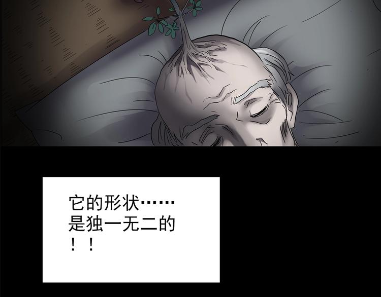 《怪奇实录》漫画最新章节第211话 人参村（中二）免费下拉式在线观看章节第【44】张图片