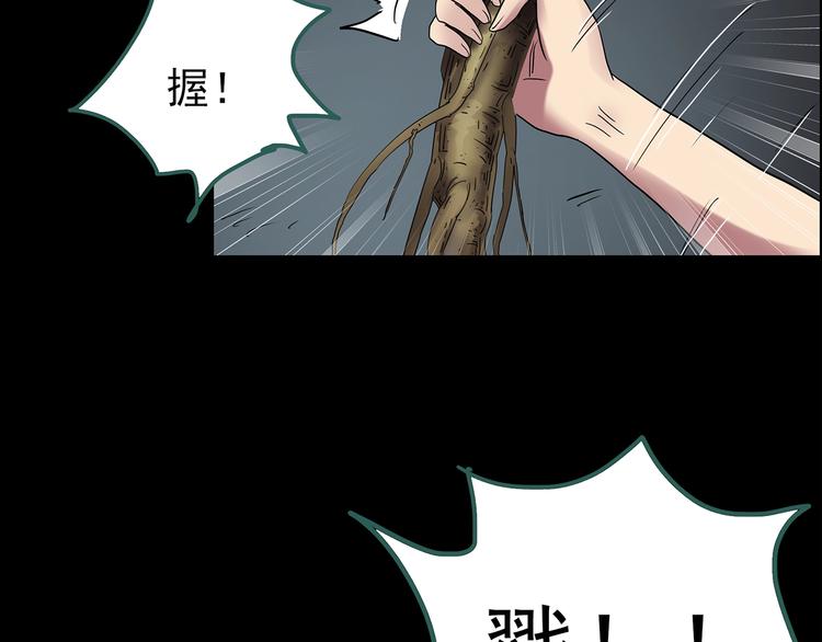 《怪奇实录》漫画最新章节第211话 人参村（下）免费下拉式在线观看章节第【48】张图片