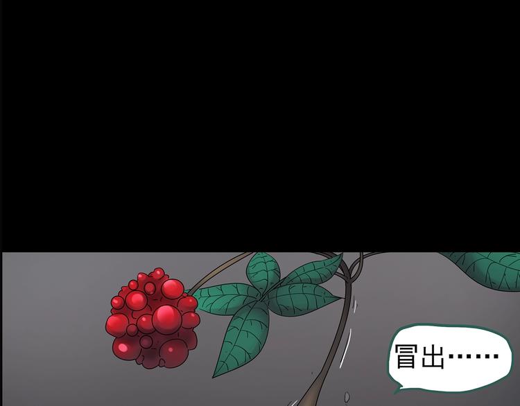 《怪奇实录》漫画最新章节第211话 人参村（下）免费下拉式在线观看章节第【75】张图片