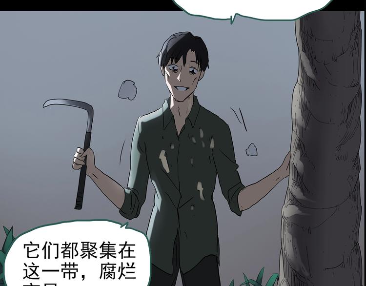 《怪奇实录》漫画最新章节第211话 人参村（下）免费下拉式在线观看章节第【85】张图片