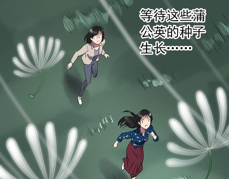 《怪奇实录》漫画最新章节第215话 美丽的蒲公英(下)免费下拉式在线观看章节第【82】张图片