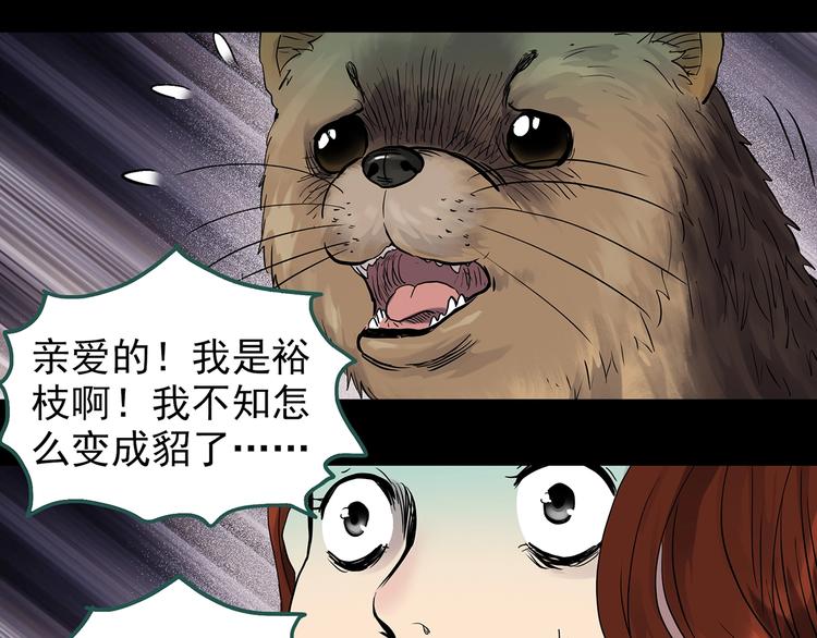 《怪奇实录》漫画最新章节第270话   貂皮大衣  中免费下拉式在线观看章节第【15】张图片