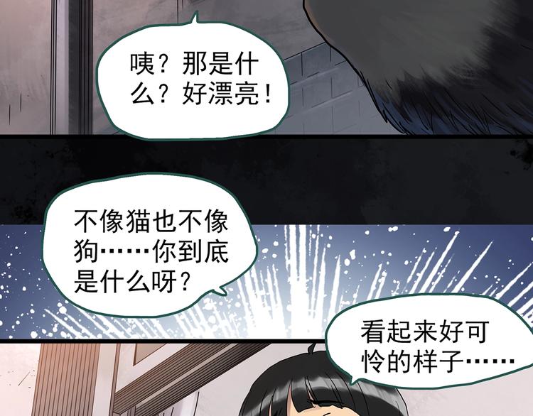 《怪奇实录》漫画最新章节第270话   貂皮大衣  中免费下拉式在线观看章节第【33】张图片