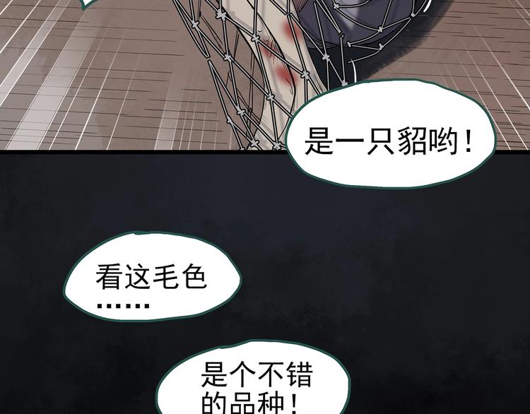 《怪奇实录》漫画最新章节第270话   貂皮大衣  中免费下拉式在线观看章节第【64】张图片