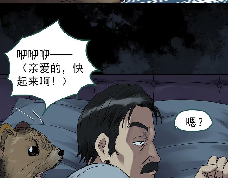 《怪奇实录》漫画最新章节第270话   貂皮大衣  中免费下拉式在线观看章节第【8】张图片