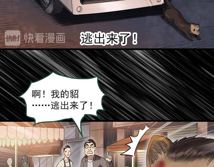 《怪奇实录》漫画最新章节第271话   貂皮大衣  下免费下拉式在线观看章节第【12】张图片