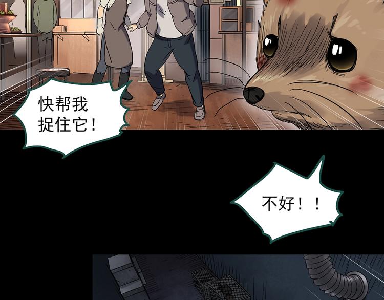 《怪奇实录》漫画最新章节第271话   貂皮大衣  下免费下拉式在线观看章节第【13】张图片