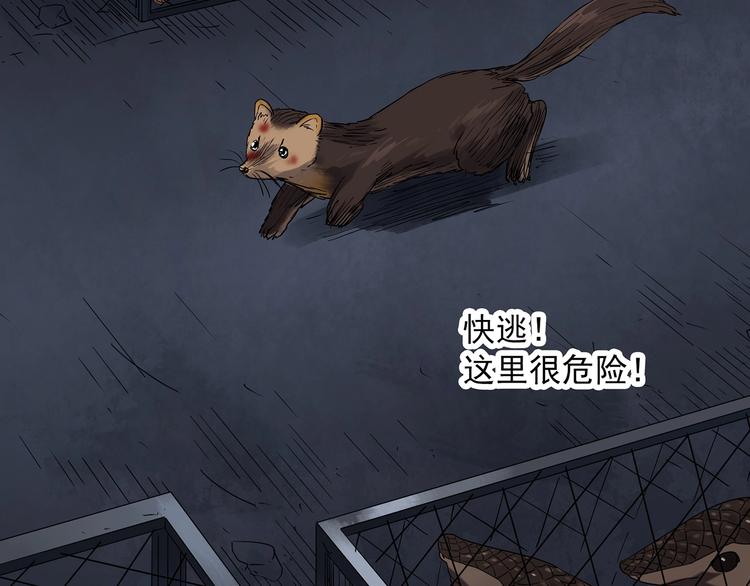 《怪奇实录》漫画最新章节第271话   貂皮大衣  下免费下拉式在线观看章节第【16】张图片