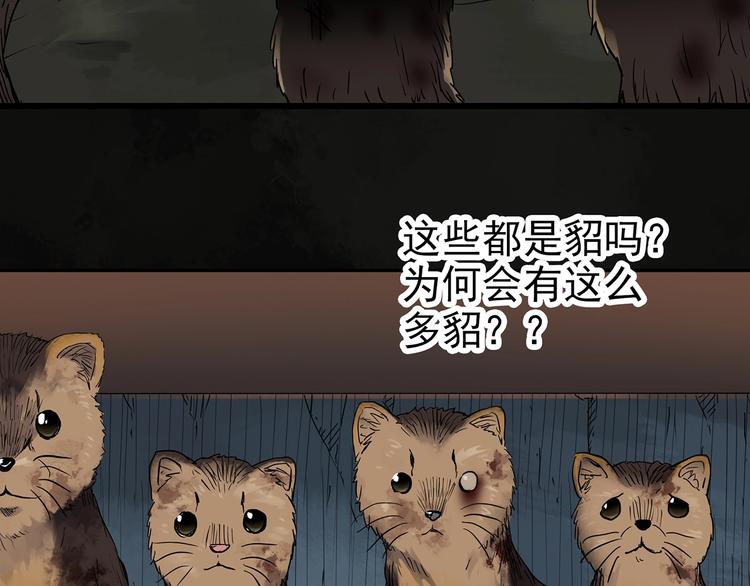 《怪奇实录》漫画最新章节第271话   貂皮大衣  下免费下拉式在线观看章节第【26】张图片