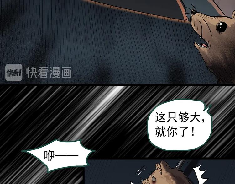 《怪奇实录》漫画最新章节第271话   貂皮大衣  下免费下拉式在线观看章节第【29】张图片