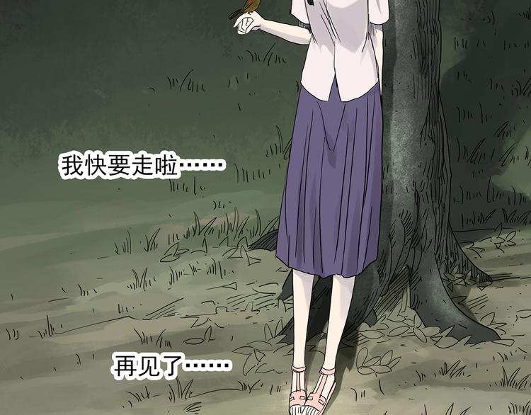 《怪奇实录》漫画最新章节第279话  等候恋人（7）免费下拉式在线观看章节第【68】张图片