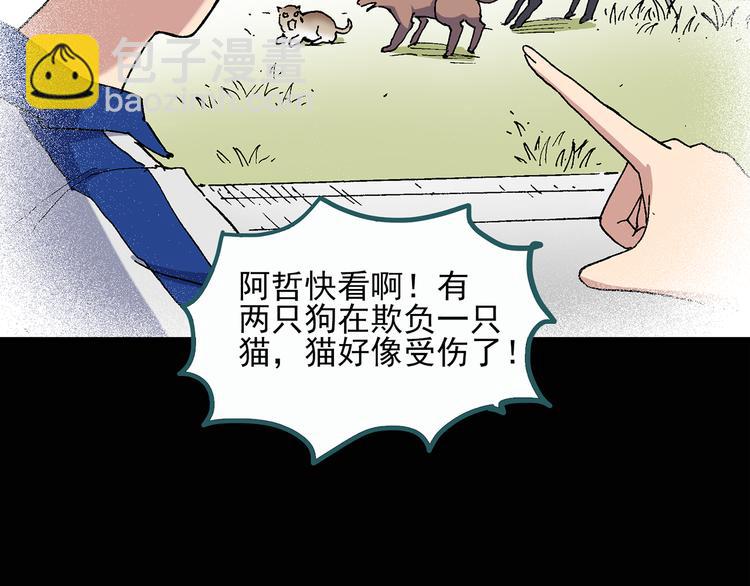 《怪奇实录》漫画最新章节第28话 怪之猫(上)免费下拉式在线观看章节第【10】张图片