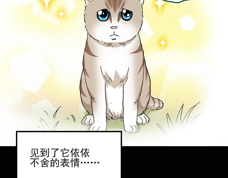 《怪奇实录》漫画最新章节第28话 怪之猫(上)免费下拉式在线观看章节第【13】张图片