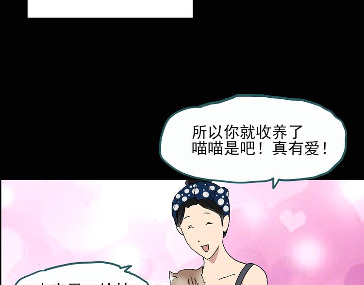 《怪奇实录》漫画最新章节第28话 怪之猫(上)免费下拉式在线观看章节第【14】张图片