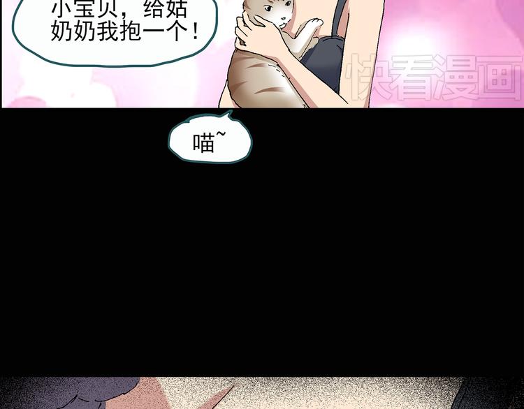 《怪奇实录》漫画最新章节第28话 怪之猫(上)免费下拉式在线观看章节第【15】张图片