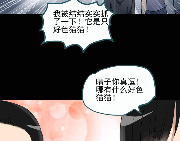 《怪奇实录》漫画最新章节第28话 怪之猫(上)免费下拉式在线观看章节第【20】张图片