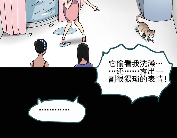 《怪奇实录》漫画最新章节第28话 怪之猫(上)免费下拉式在线观看章节第【33】张图片