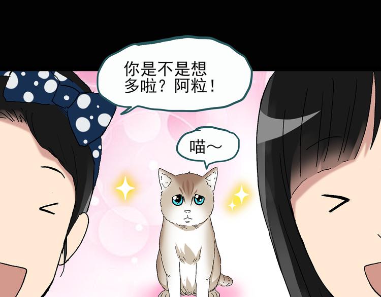 《怪奇实录》漫画最新章节第28话 怪之猫(上)免费下拉式在线观看章节第【34】张图片