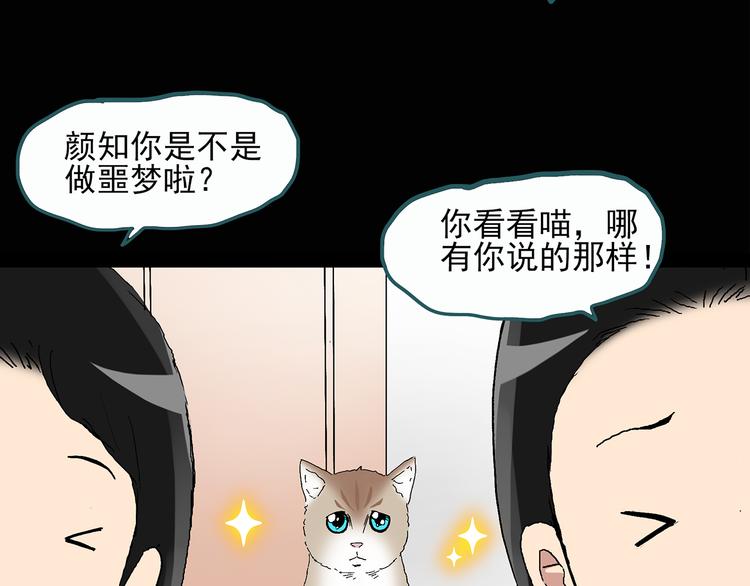 《怪奇实录》漫画最新章节第28话 怪之猫(上)免费下拉式在线观看章节第【48】张图片