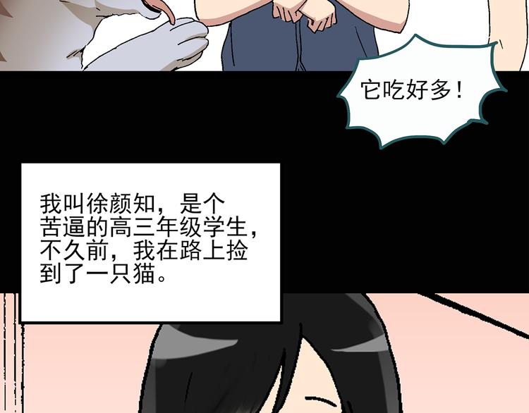 《怪奇实录》漫画最新章节第28话 怪之猫(上)免费下拉式在线观看章节第【7】张图片