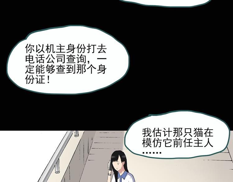 《怪奇实录》漫画最新章节第29话 怪之猫(中)免费下拉式在线观看章节第【67】张图片