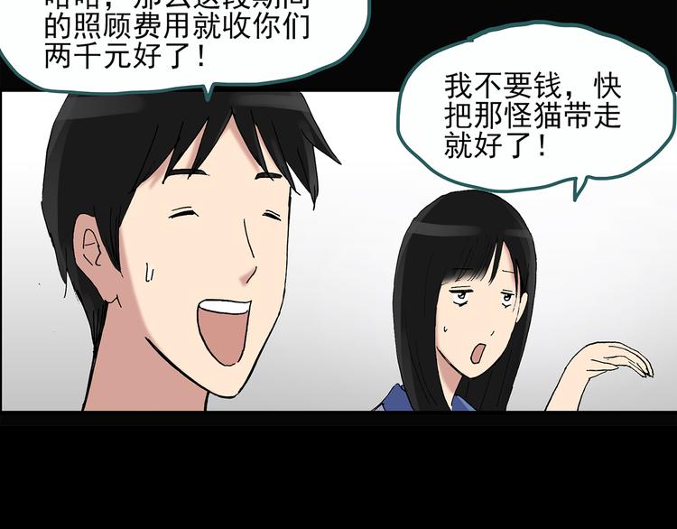 《怪奇实录》漫画最新章节第29话 怪之猫(中)免费下拉式在线观看章节第【75】张图片