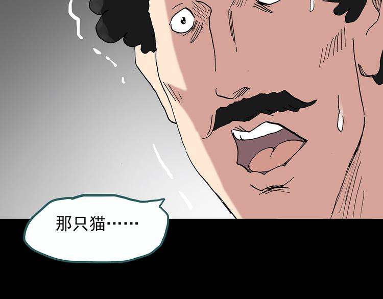 《怪奇实录》漫画最新章节第29话 怪之猫(中)免费下拉式在线观看章节第【77】张图片