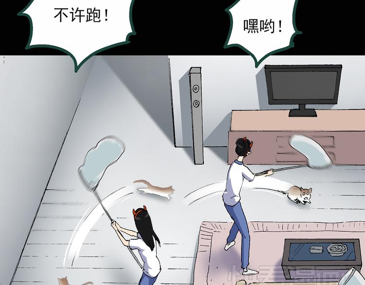 《怪奇实录》漫画最新章节第30话 怪之猫(中2)免费下拉式在线观看章节第【15】张图片