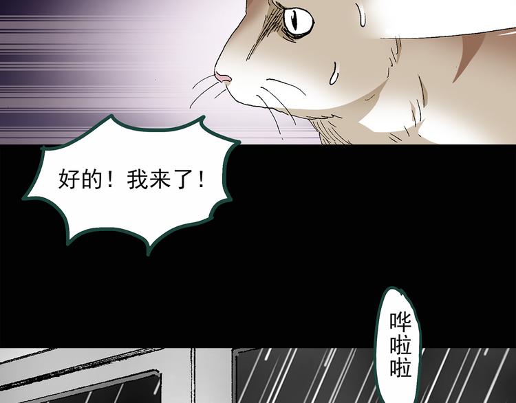 《怪奇实录》漫画最新章节第30话 怪之猫(中2)免费下拉式在线观看章节第【19】张图片