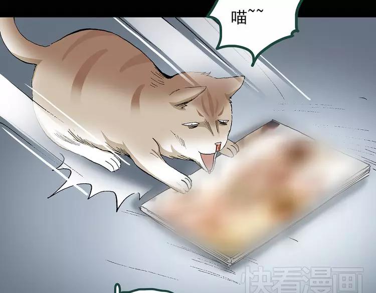 《怪奇实录》漫画最新章节第30话 怪之猫(中2)免费下拉式在线观看章节第【27】张图片