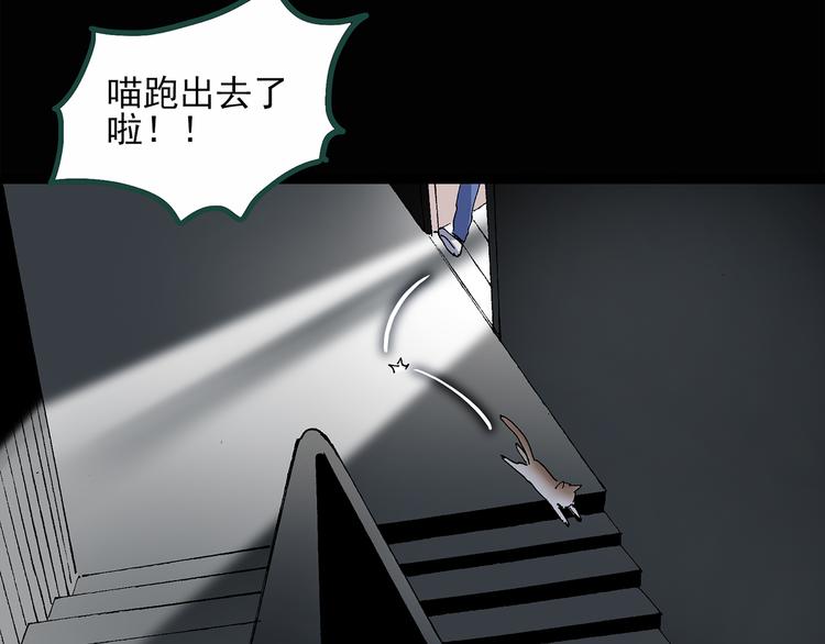 《怪奇实录》漫画最新章节第30话 怪之猫(中2)免费下拉式在线观看章节第【38】张图片